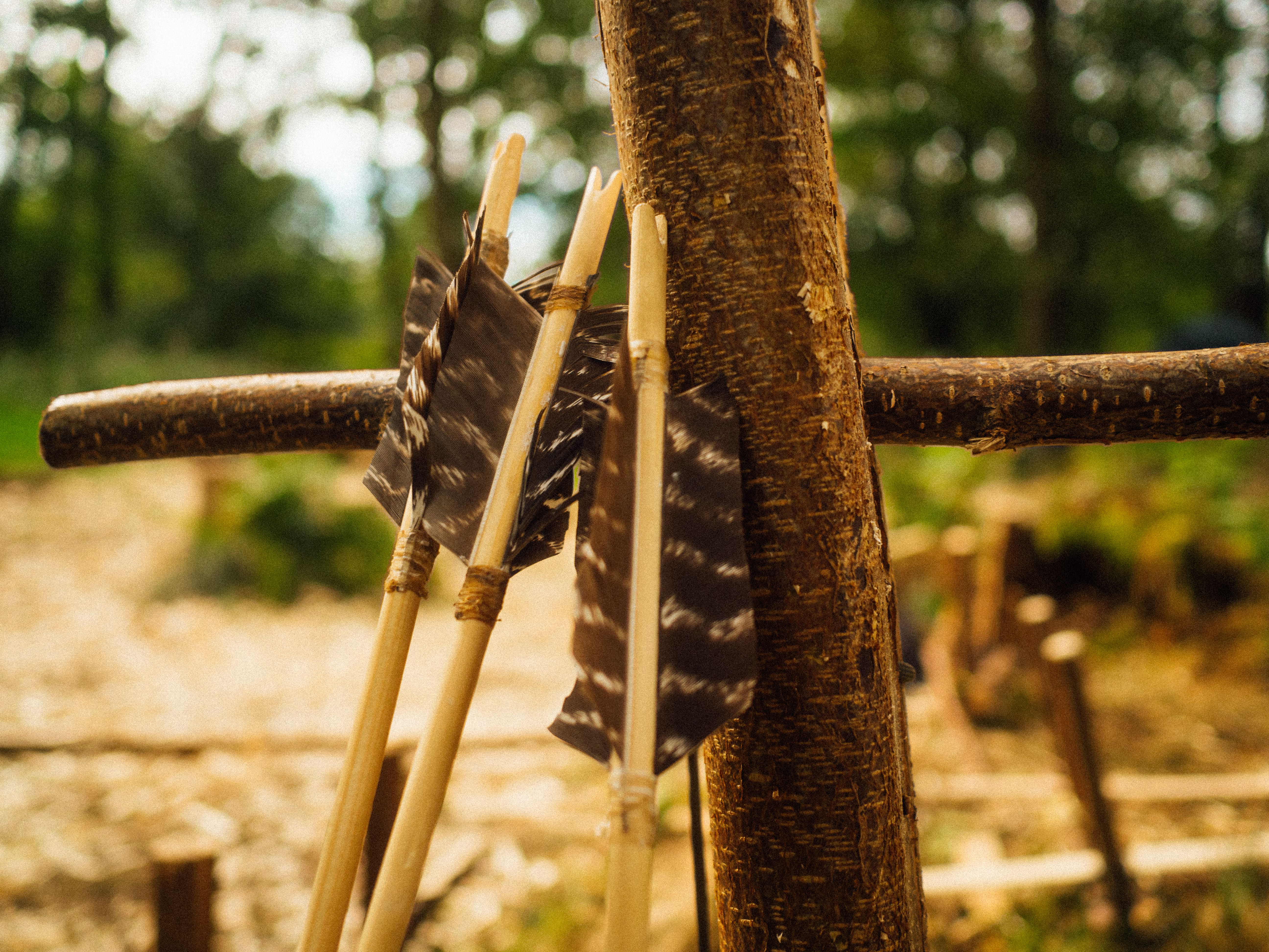 Eine Jahresausbildung für Menschen, die sich erinnern.