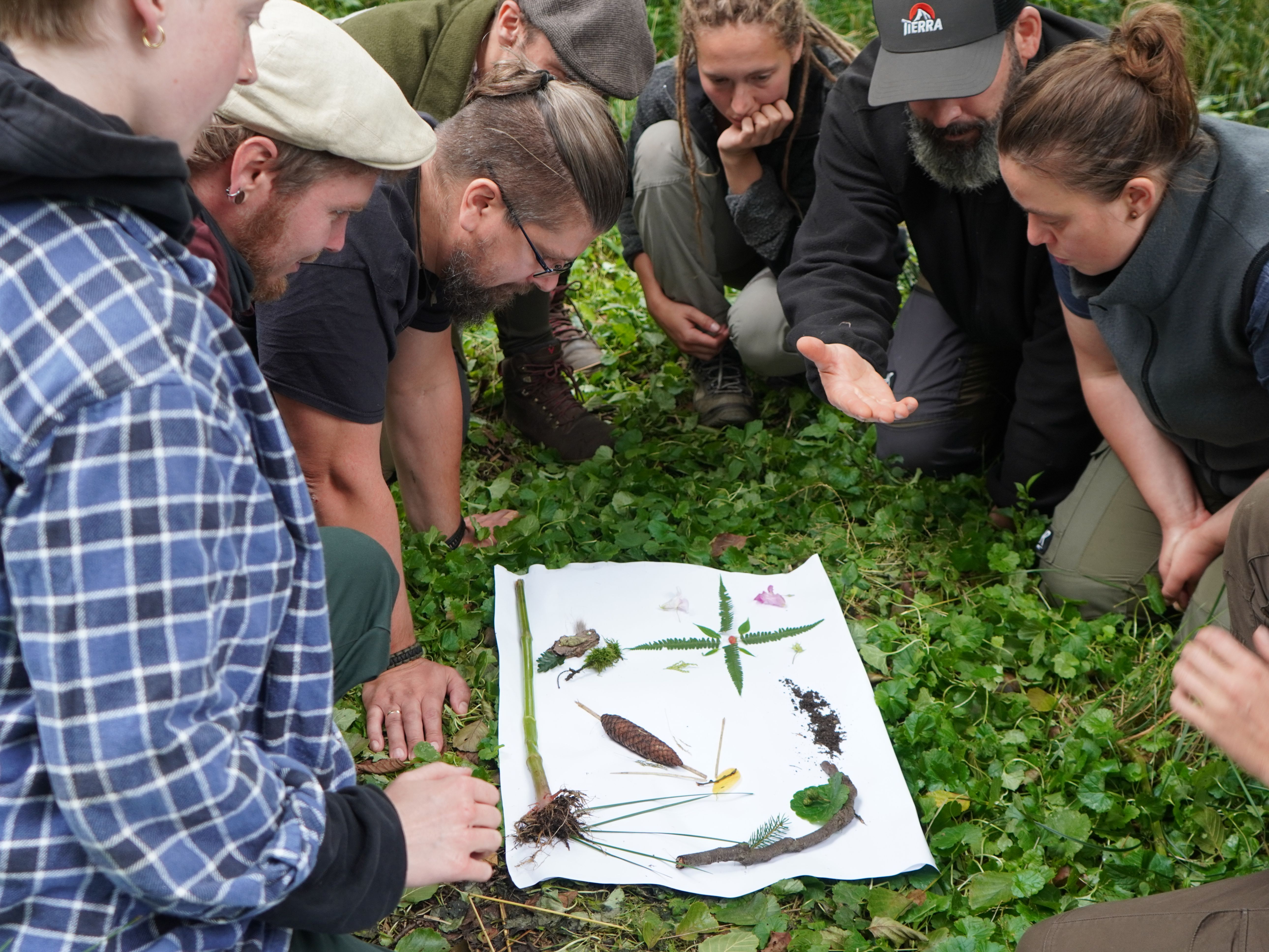 Ein Mann im Wald. Sonne scheint.
