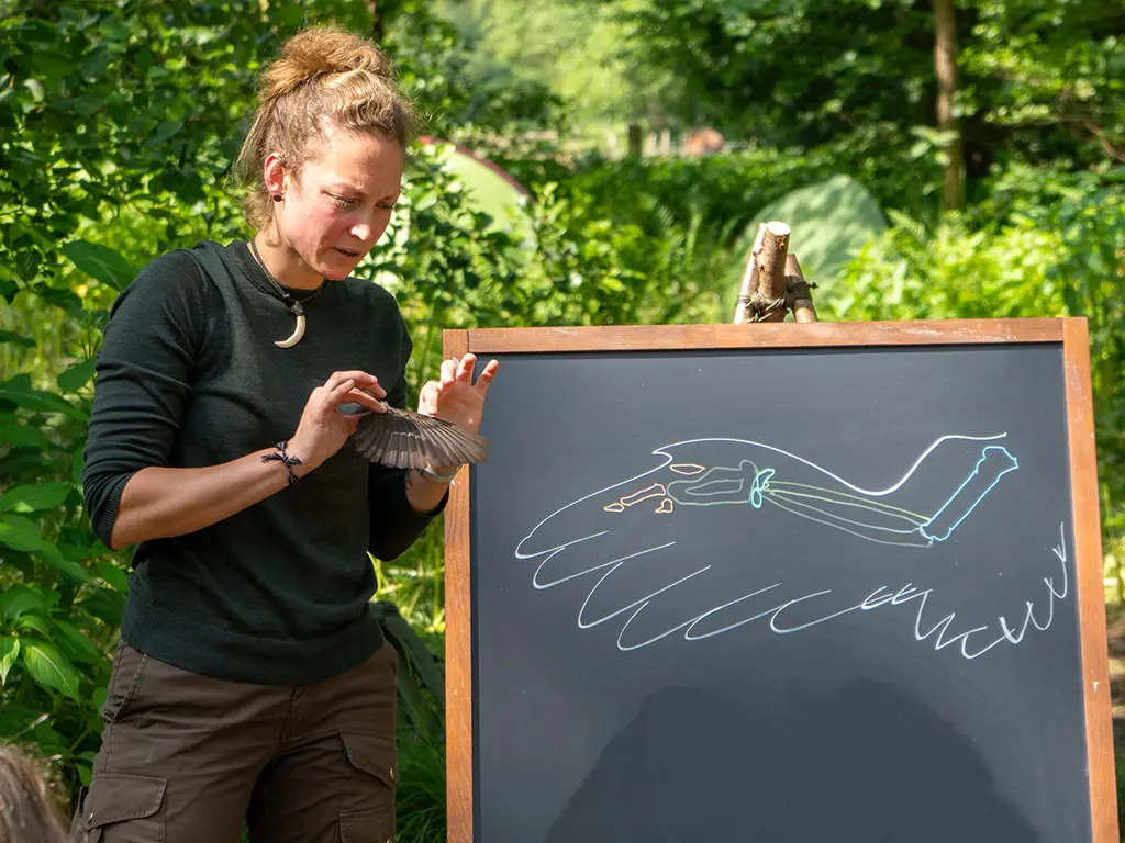 Ein Teamevent wird im Wald durchgeführt